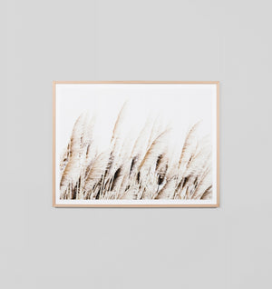 Reeds Framed Print
