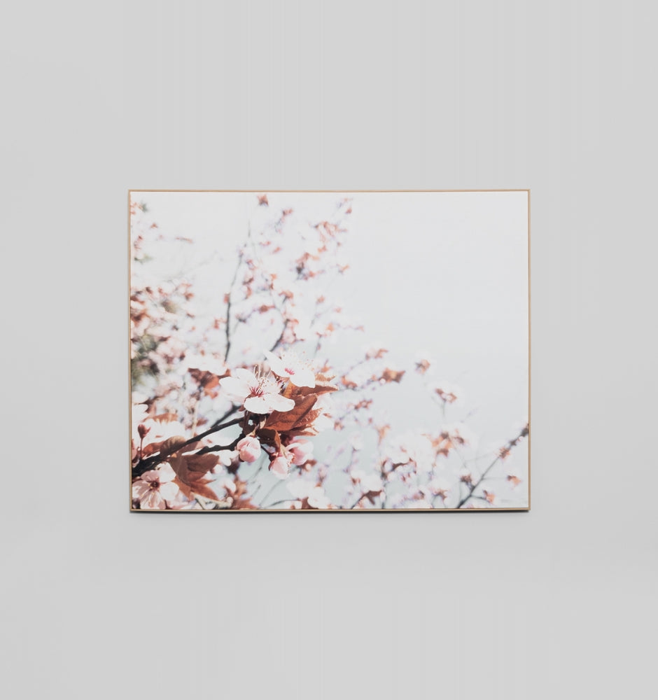 Spring Blossom Box Framed Canvas