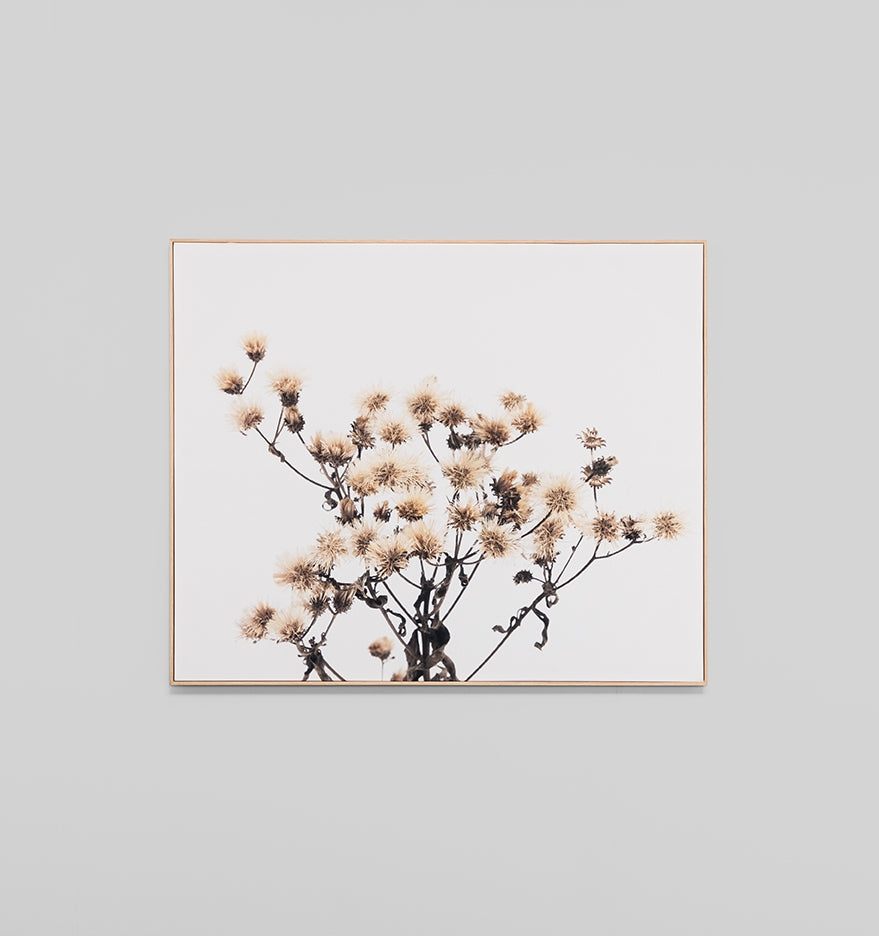 Wildflowers Box Framed Canvas